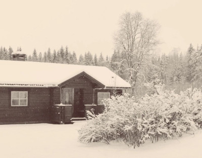 A small snow covered cabin with a bush on the front yard