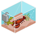 Animated gif - Small aquarium with a crayfish relaxing around